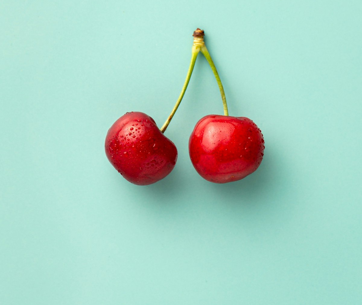 Terraflex Nootropics